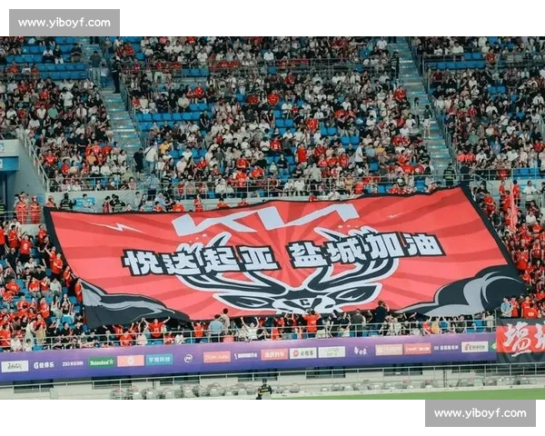 苏超向上生长:绿茵里的江苏力量 苏超向上生长:绿茵里的江苏力量